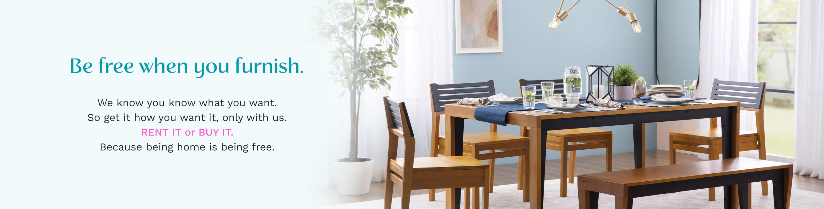 Furlenco Coupons Banner