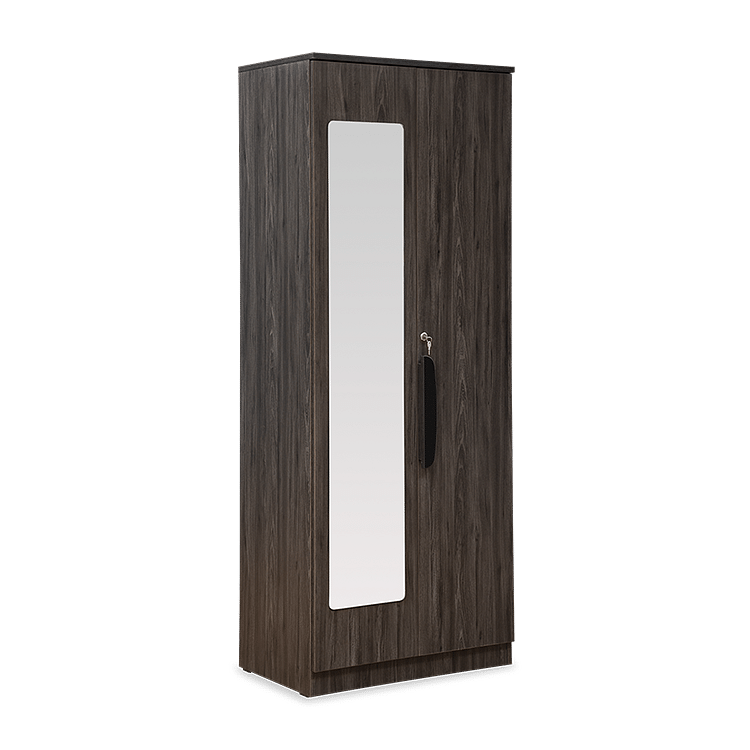 

Haimish Engineered Wood 2 Door Wardrobe with Mirror In Carbon Grey Finish